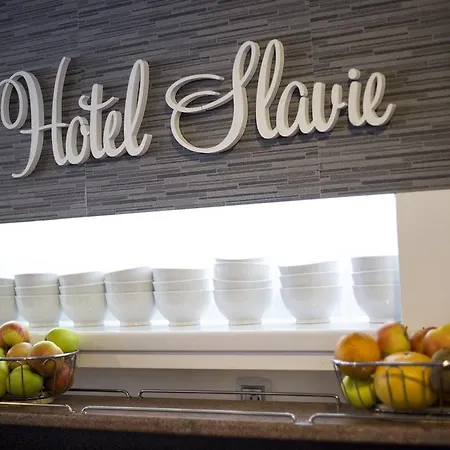 Hotel Slavie 3*