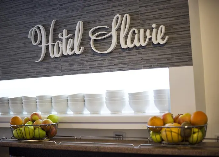 Hotel Slavie 3*